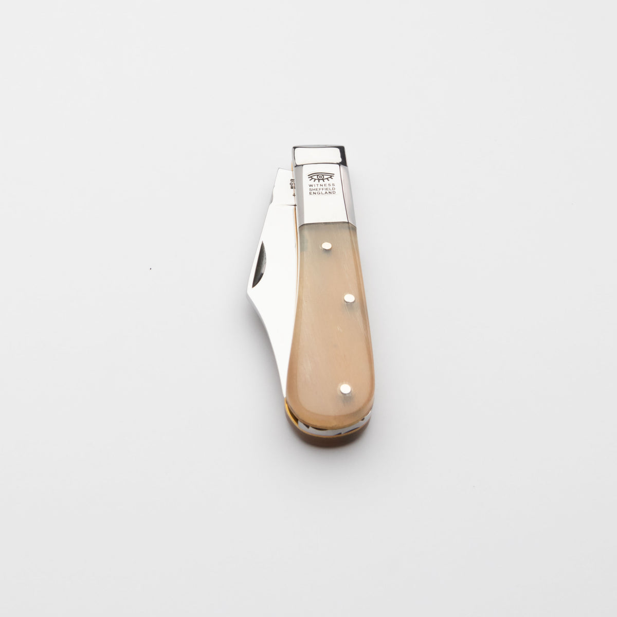 Taylors Eye Witness Premier Collection - Single Blade Ramshorn Worked Back