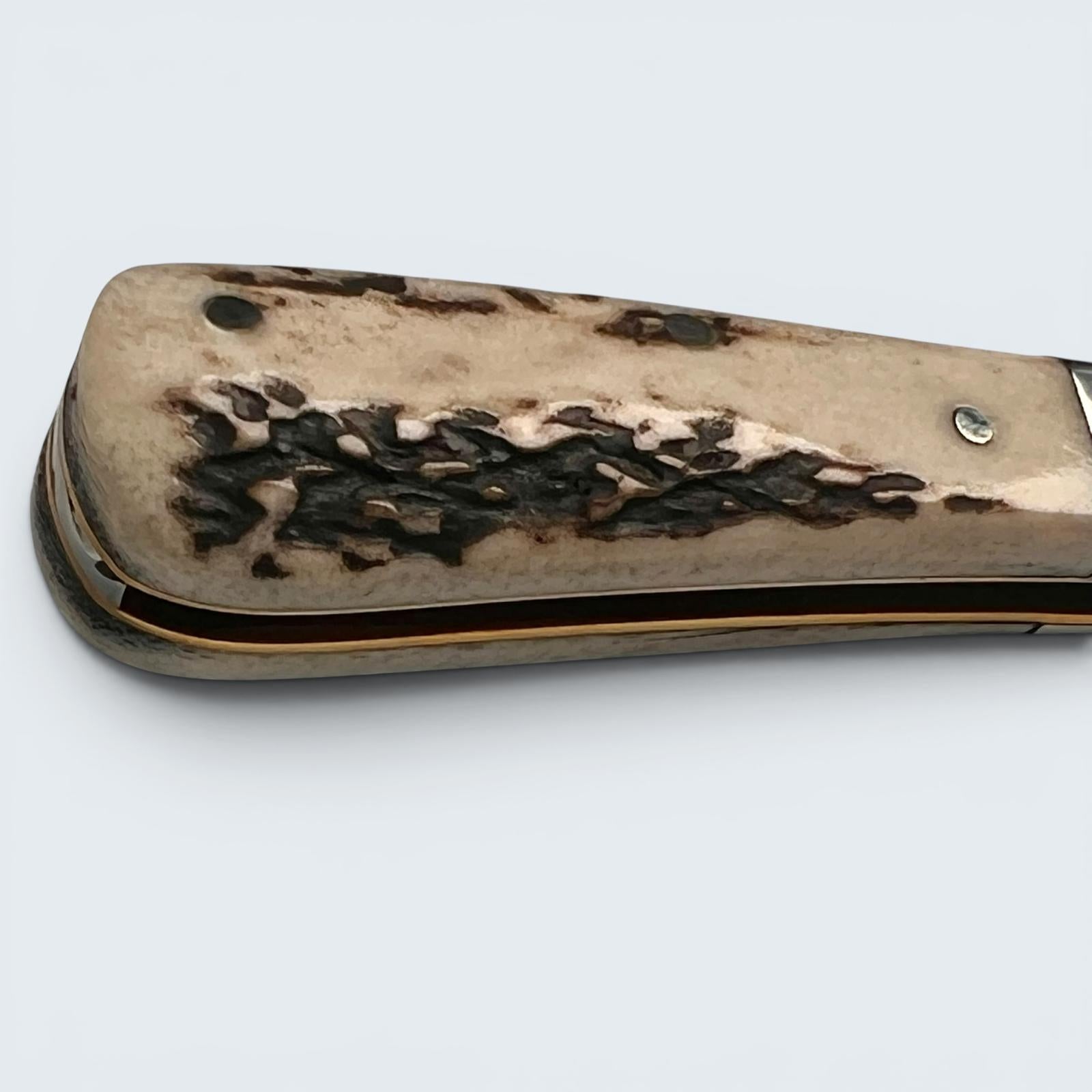 Taylors Eye Witness Premier Collection - Single Blade Barlow Stag Scales Worked Back