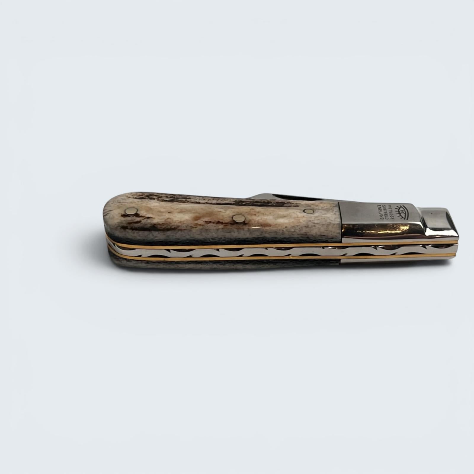 Taylors Eye Witness Premier Collection - Single Blade Barlow Stag Scales Worked Back