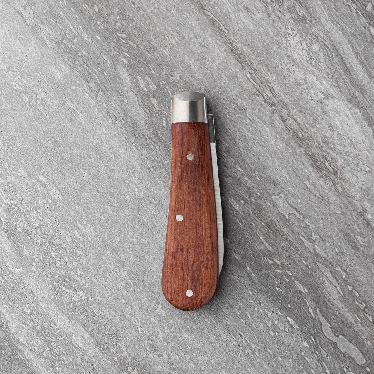Taylors Eye Witness Sheffield Made Classic Hardwood 6cm Spear Point Pocket Knife
