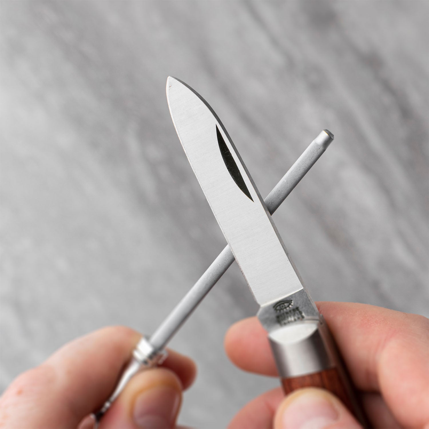 Taylors Eye Witness Mini Sharpening Steel