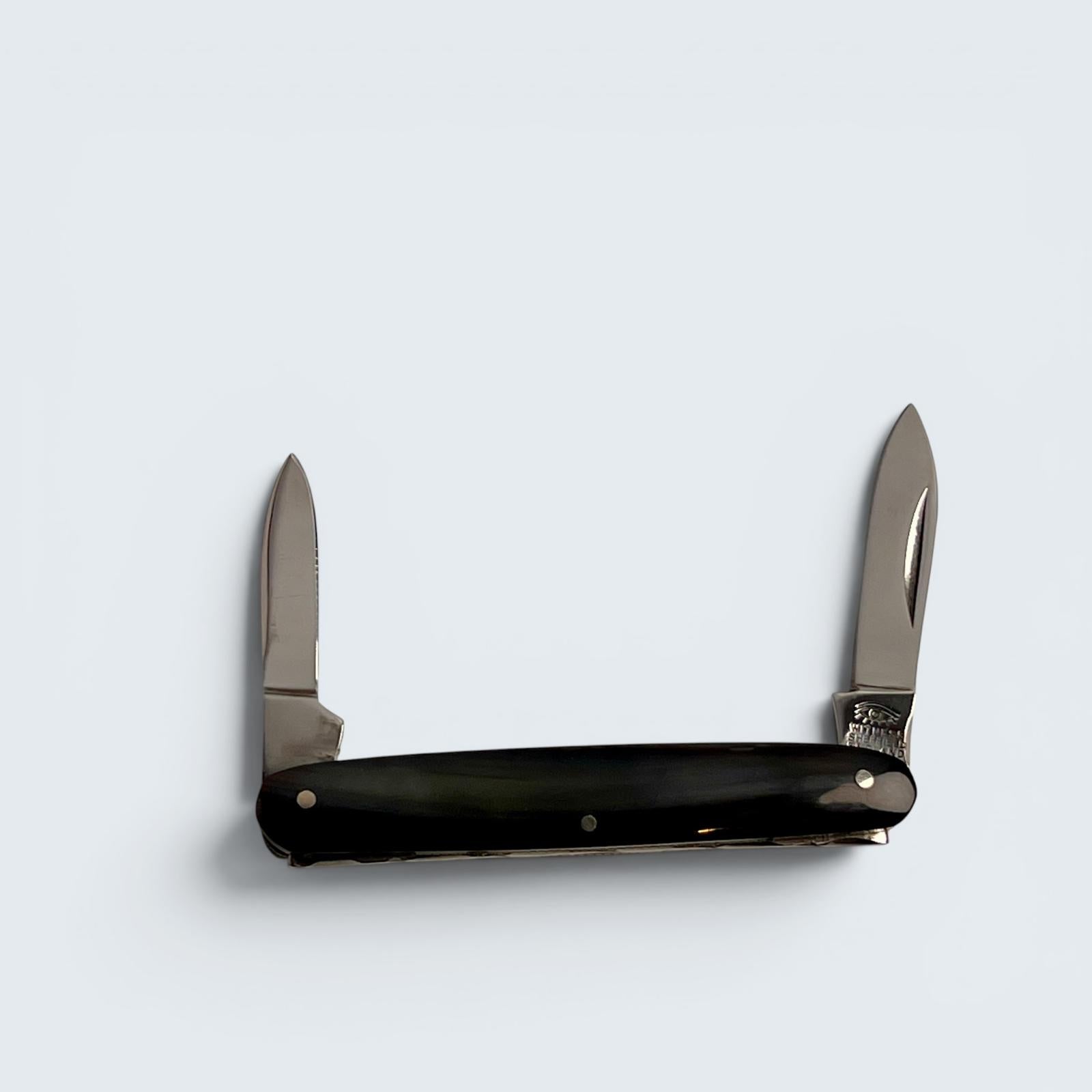Taylors Eye Witness Penknife with Oxhorn Scales