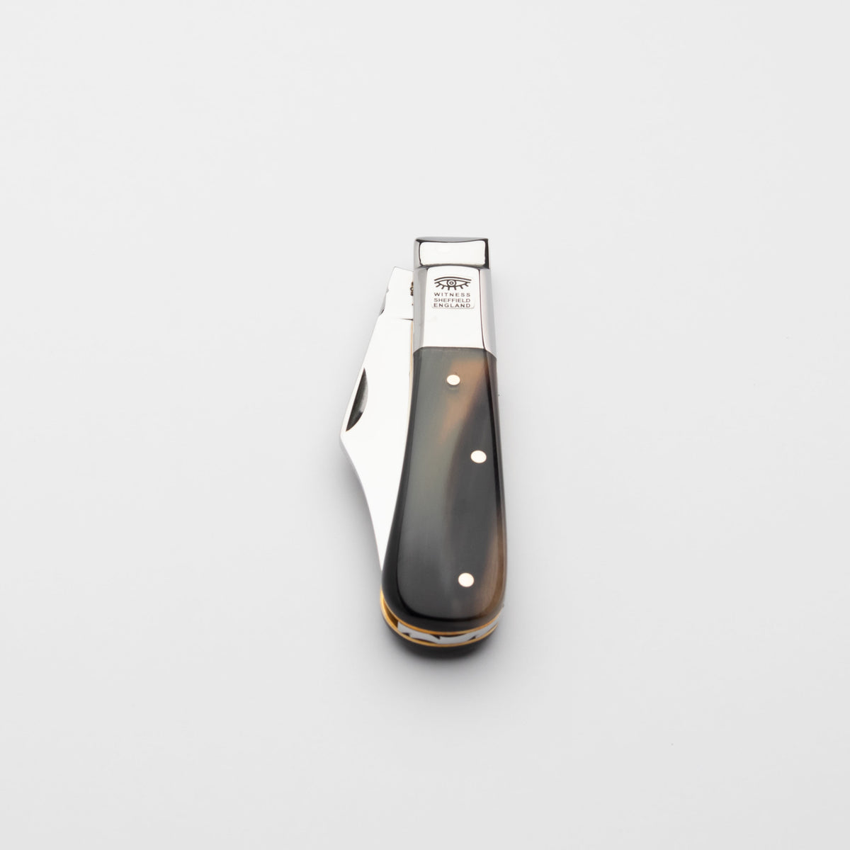 Taylors Eye Witness Premier Collection - Single Blade Ox horn Worked Back
