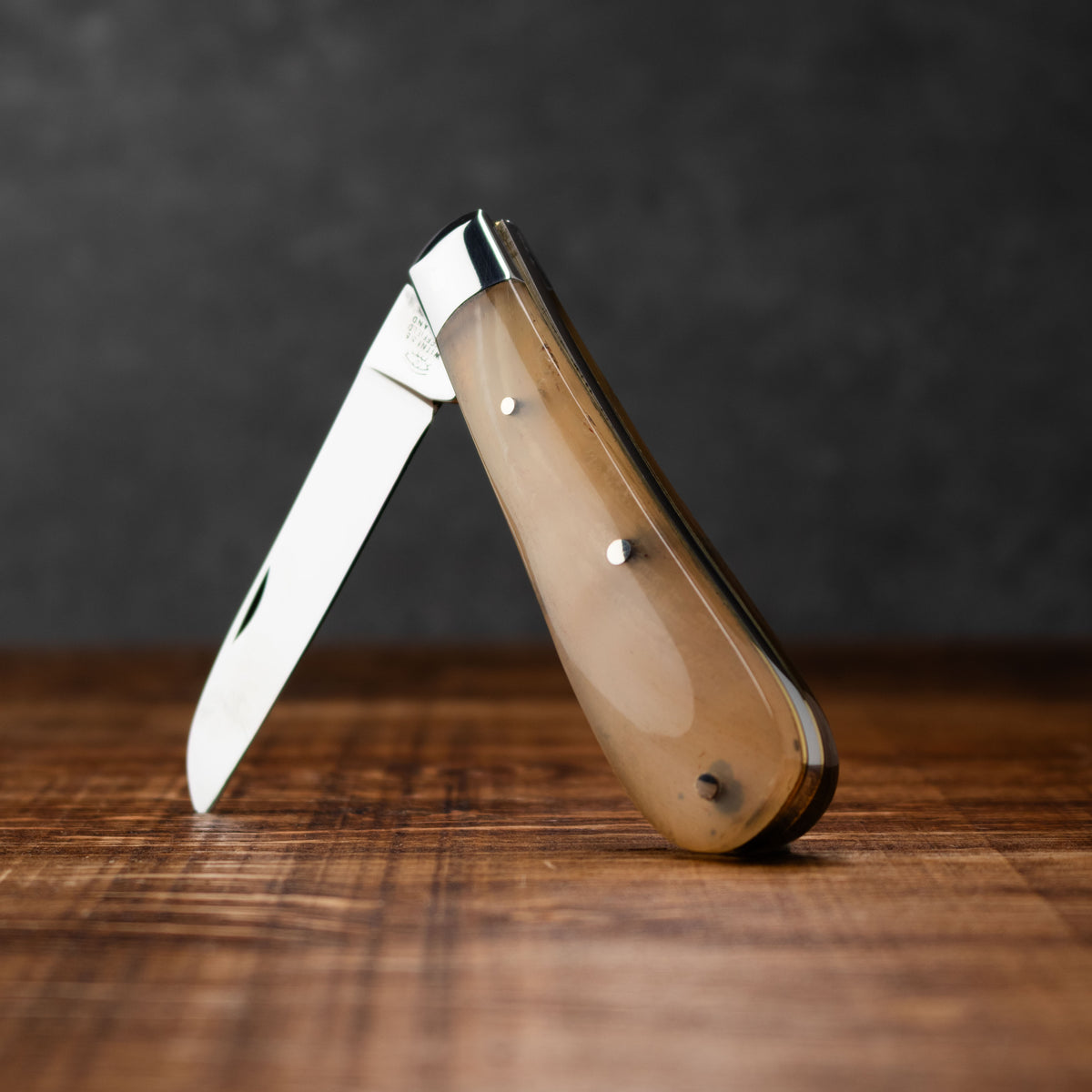 Taylors Eye Witness Premier Collection - Single Blade Lambfoot Blade Rams Horn Scales Plain Back Spring