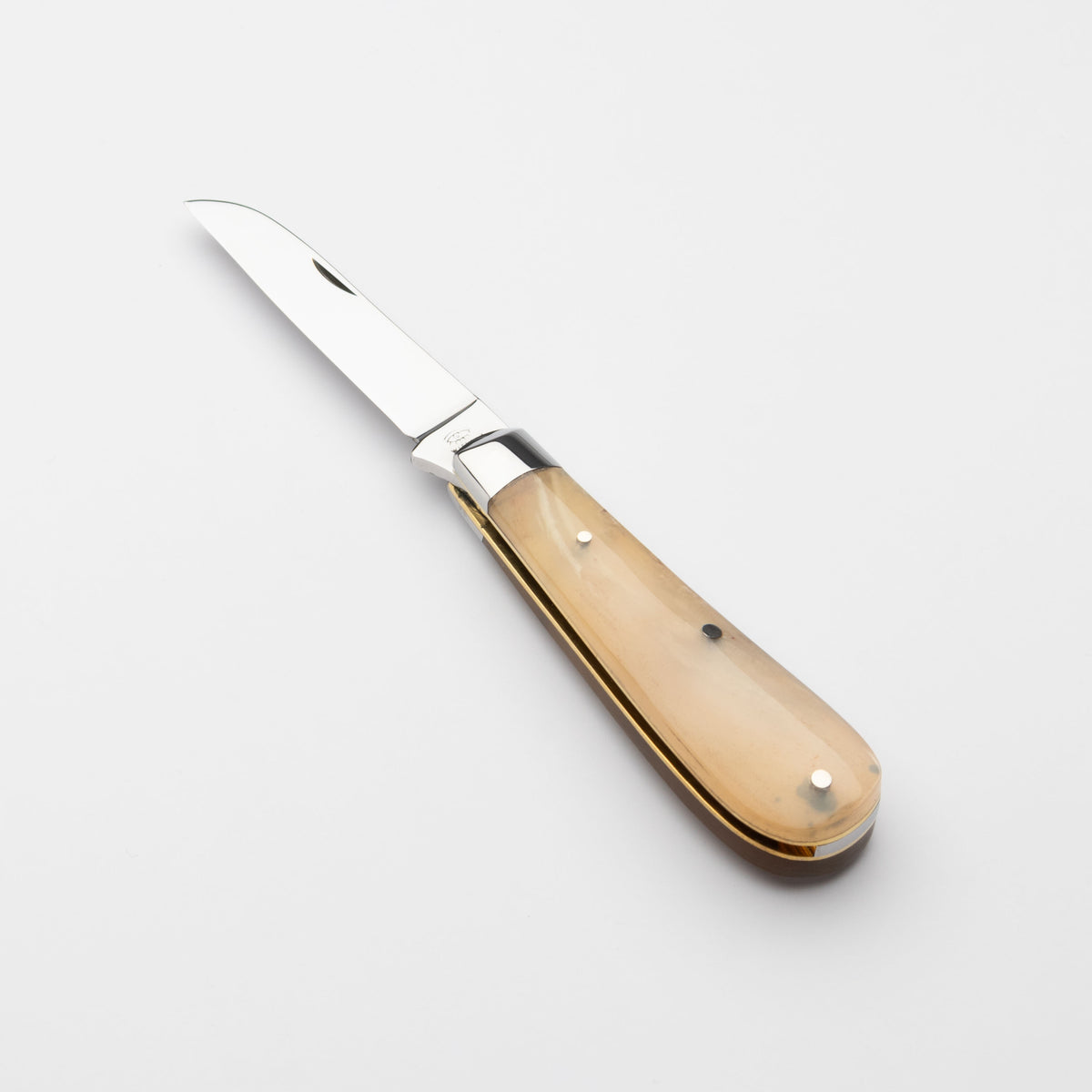 Taylors Eye Witness Premier Collection - Single Blade Lambfoot Blade Rams Horn Scales Plain Back Spring