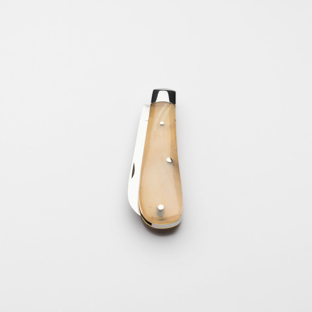 Taylors Eye Witness Premier Collection - Single Blade Lambfoot Blade Rams Horn Scales Plain Back Spring
