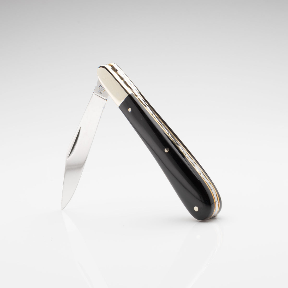 Premier Collection - Single Blade Gentlemans Clip Point Buffalo Scales Worked Back